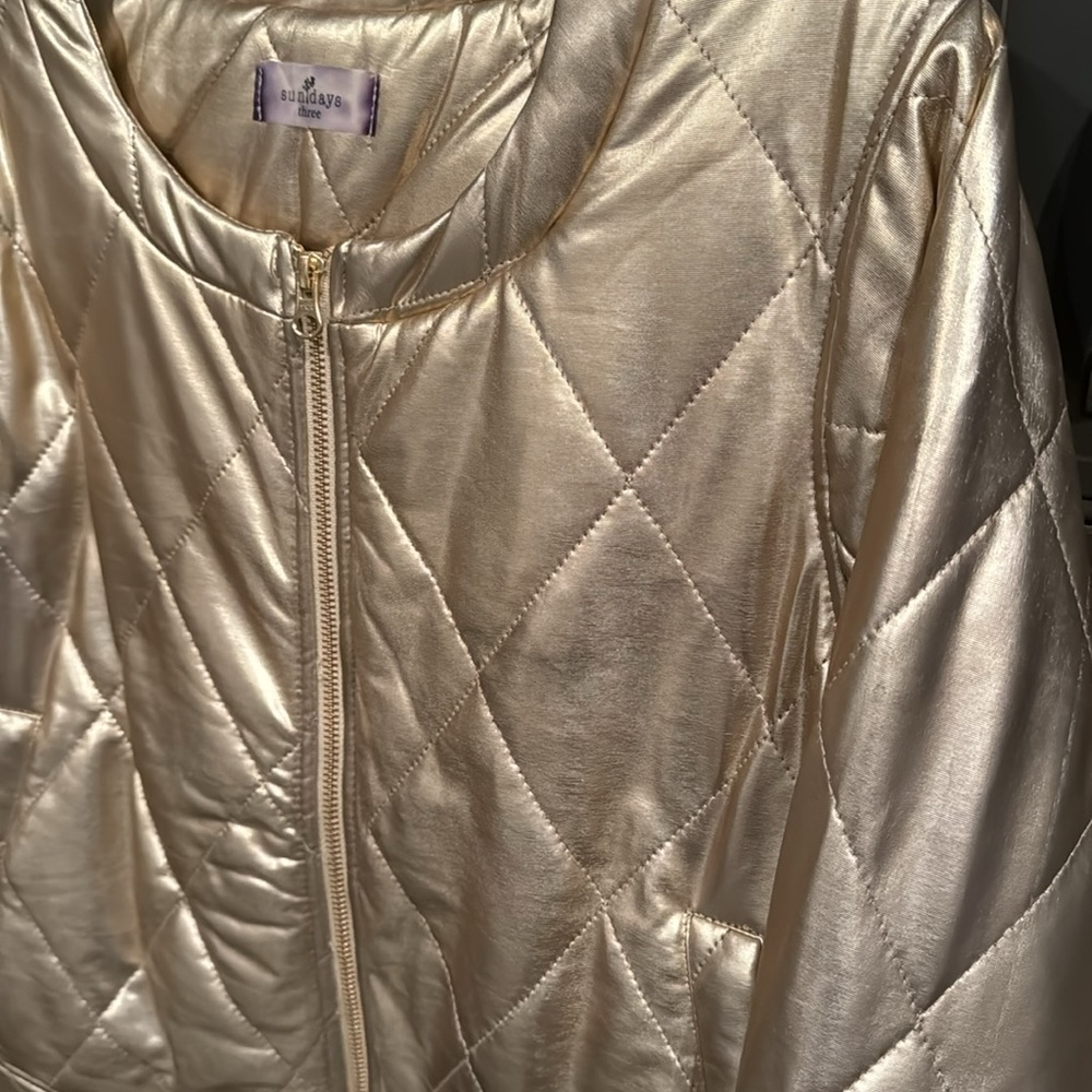Sundays Metallic Jacket - Picture 3 of 8